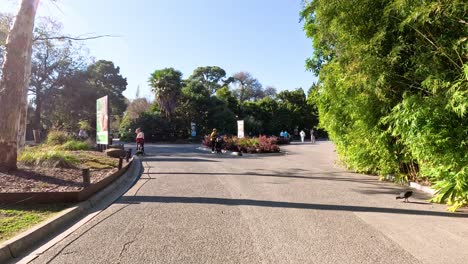 visitors walking along a scenic zoo path