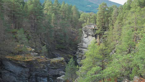 a deep rocky canyon in the norwegian forest