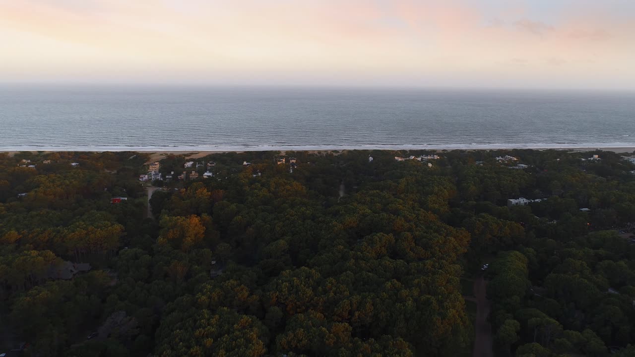 Vista Aérea Panorâmica de Floresta Costeira e Oceano ao Amanhecer.