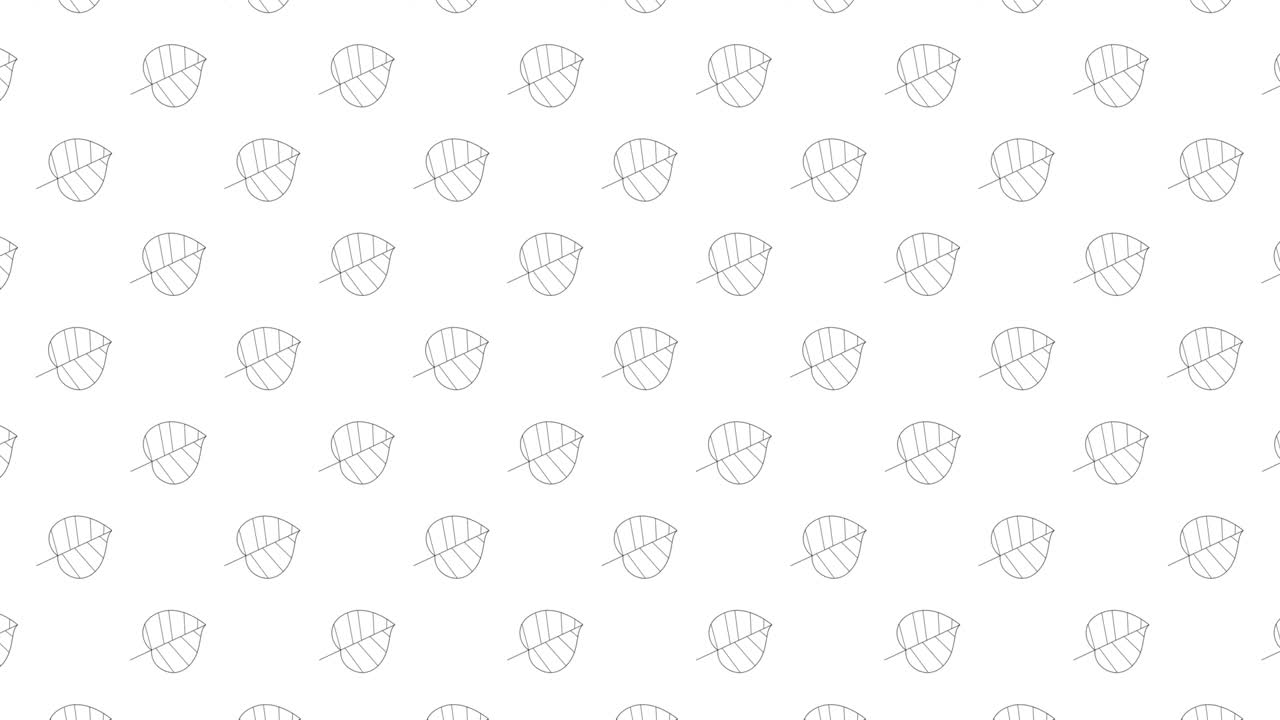 hojas de árbol de abeto iconas de líneas delgadas negras en un fondo blanco. patrón gráfico de movimiento de bucle sin costuras con hojas animadas en cuadrícula geométrica