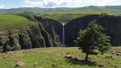 un árbol se encuentra en una meseta de hierba rocosa en la cascada del río maletsunyane