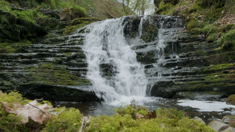waterfall in forest 4k slider shot