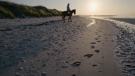 sunrise horseback riding on the beach