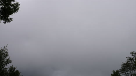 time lapse through the trees showing storm clouds forming