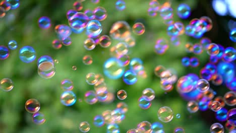 the beautiful soap bubbles flying on a green leaf background. slow motion