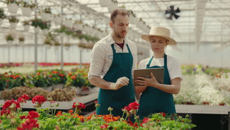 two gardeners working with a tablet in a modern greenhouse