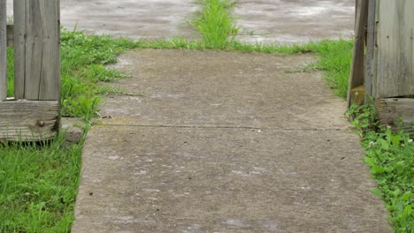 Rain-Falling-Onto-Stone-Pathway-In-Garden-Australia-Victoria-Gippsland-Maffra