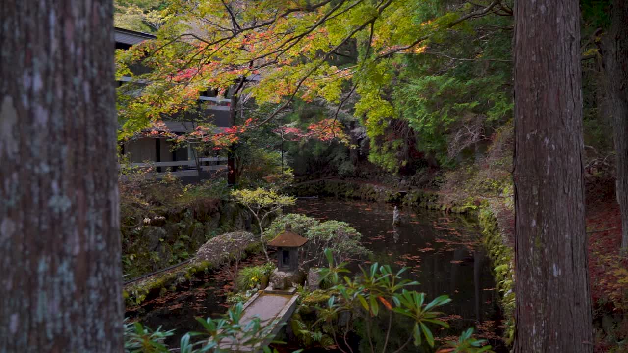 연못과 가을 색이 있는 숲 한가운데에 있는 아름다운 작은 사원