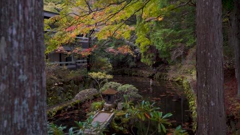 Hermoso-Pequeño-Santuario-En-Medio-Del-Bosque-Con-Estanque-Y-Colores-De-Otoño