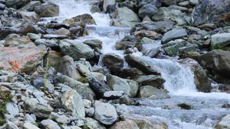 a clear mountain stream flows rapidly over large rocks in a rugged outdoor setting. natural daylight illuminates the scene. camera remains steady throughout
