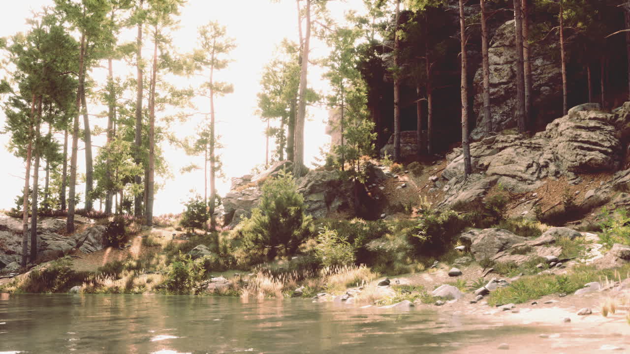 un cuerpo de agua rodeado de árboles y rocas