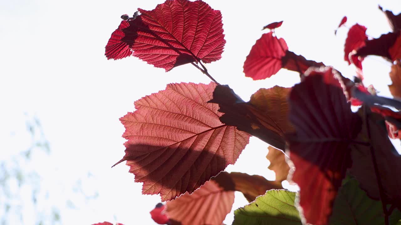 도쿄 최고의 전망