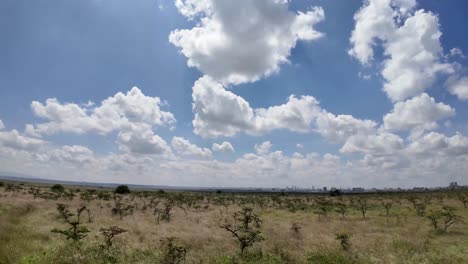 Un-Hermoso-Panorama-De-La-Sabana-En-La-Naturaleza