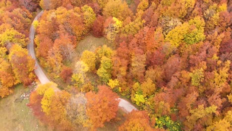 Vista-Aérea-De-Caminos-Increíbles-A-Través-Del-Parque-Nacional-Durmitor-En-Montenegro-Lleno-De-Increíbles-Colores-De-Otoño-Durante-El-Otoño