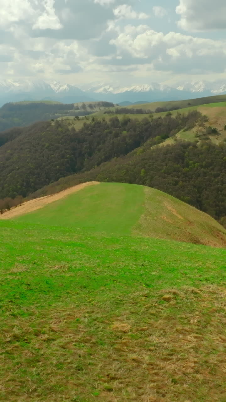Paesaggio montuoso con pascoli verdi