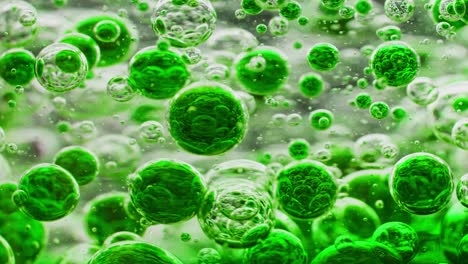 macro shot of many green bubbles moving around in water