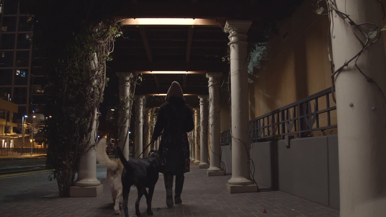 Hooded woman walking two dogs near downtown train station at night
