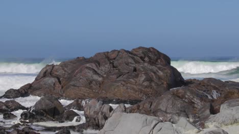 west coast waves pounding the rocks