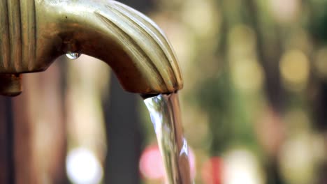 CloseUp-Golden-Patterned-Tap-Park