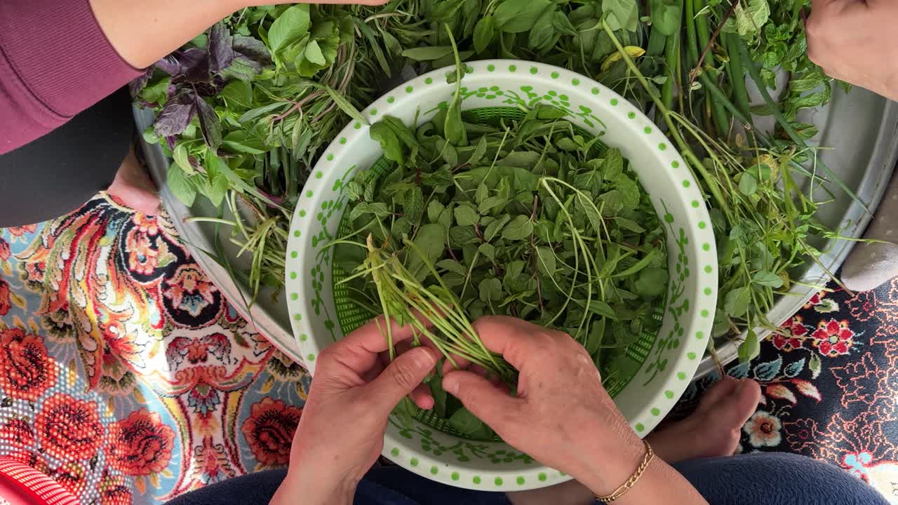 persian family gathering on rural terrace chopping and cleaning fresh green vegetables on tray and iran carpet during spring harvest village lifestyle local cuisine healthy food preparation daytime