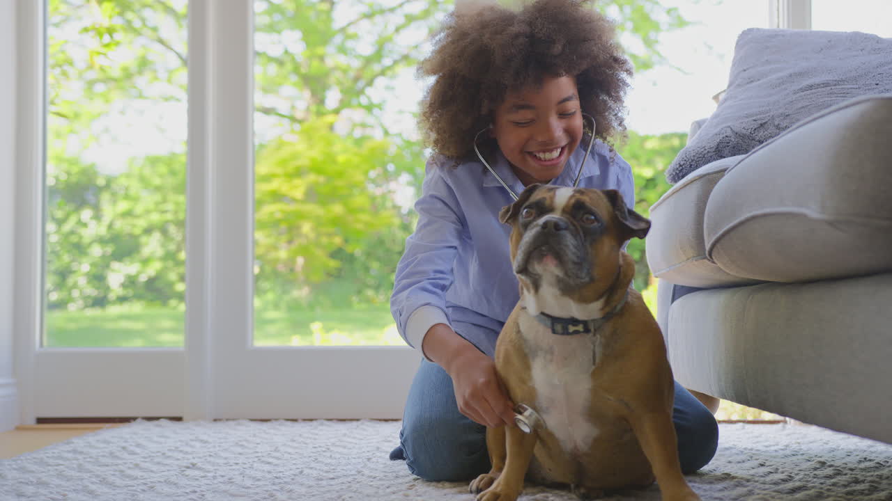 Jongen speelt dierenarts thuis, onderzoekt huisdier Franse Bulldog met stethoscoop.