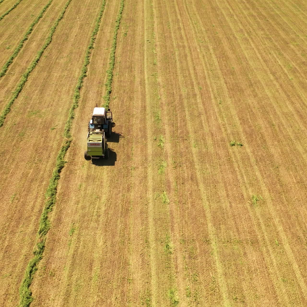 Tractor harvesting grass on the farmland. Rural works on the field to prepare grass for livestock. Agricultural background with tractor. Drone moves top down.