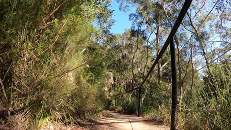 un paseo sereno a través de un paisaje natural diverso