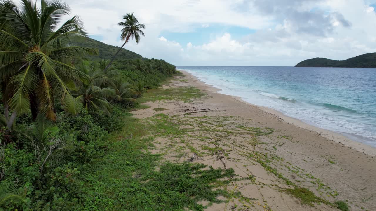 Zoni Beach, Puerto Rico island of Culebra - Aerial fly down empty beach in carribean
