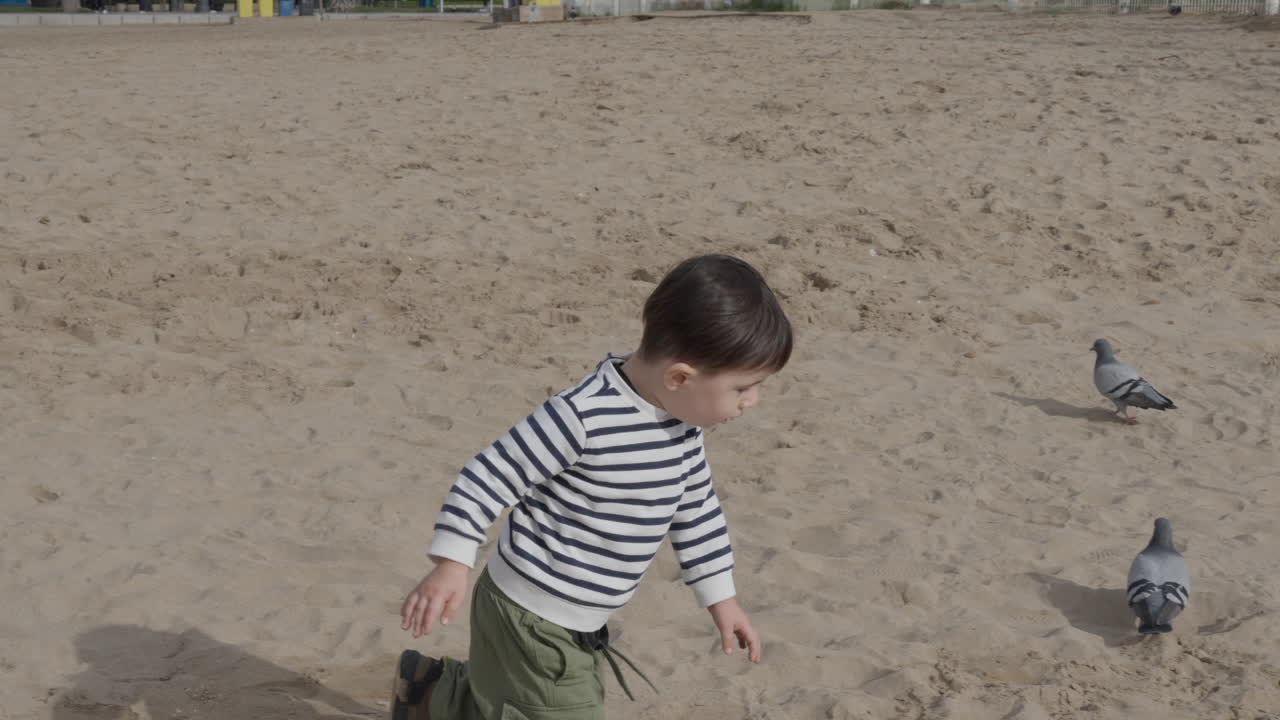 Little boy runs and falls on the beach with pigeons,birds and sand in the background