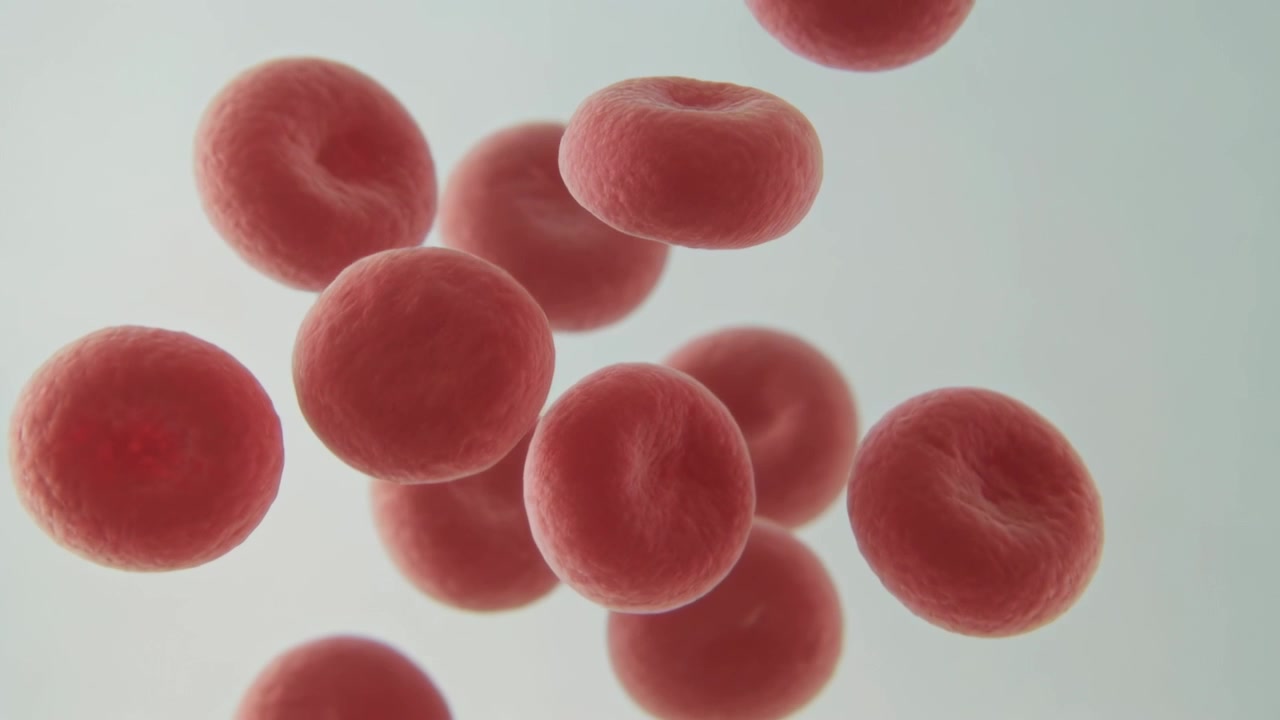 Starting frame showing red blood cell cluster drifting, rotating and moving upward in plasma