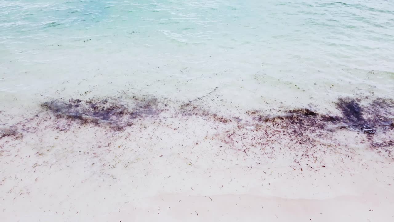 마법의 모래사장에 부서지는 시원한 파도