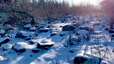 Langsames-Podest,-Das-Die-Verschneite-Winterlandschaft-Enthüllt