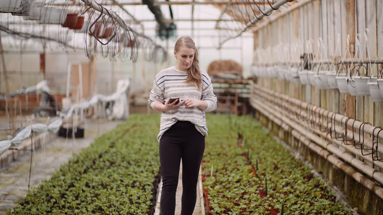 Agriculture Female Gardener Using Mobile Phone In Greenhouse 2