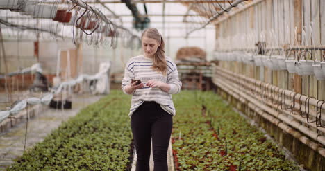 mujer jardinera agrícola usando teléfono móvil en invernadero 2