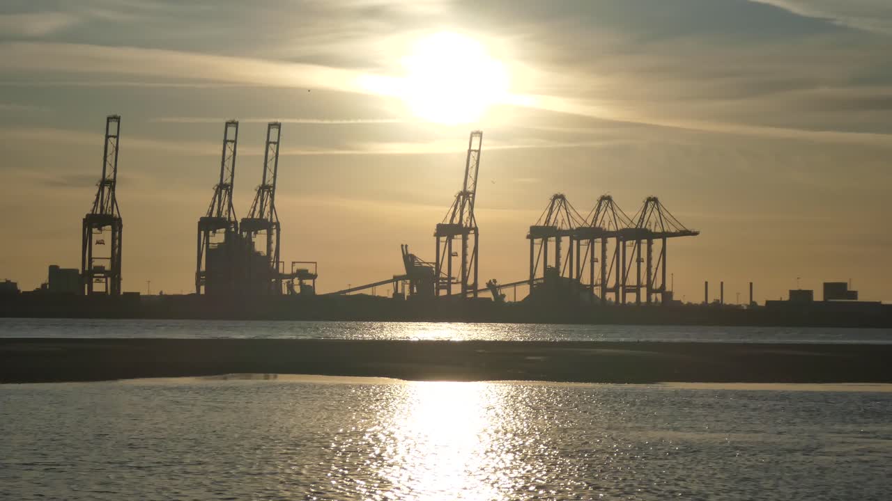 grúas de carga de carga del puerto de envío de silueta en el agua brillante del amanecer uno de cinco