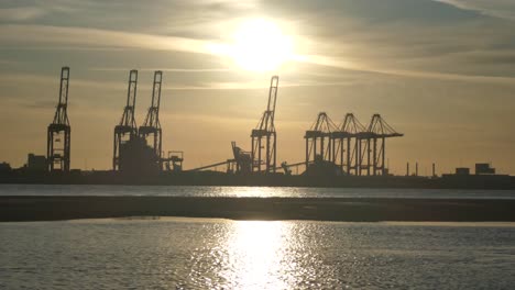 silhouette shipping port cargo loading cranes on shimmering sunrise water one of five