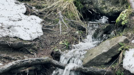 spring stream in forest with melting snow. tiny waterfall in spring landscape.