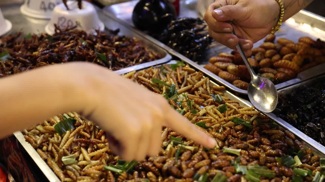 Exotic Thai Street Food: Fried Insects and Worms