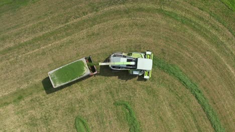 vista aérea de una cosechadora de forraje recogiendo ensilado de heno en un campo