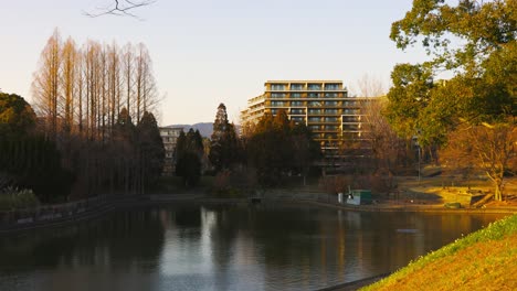 The-beautiful-park-in-Osaka