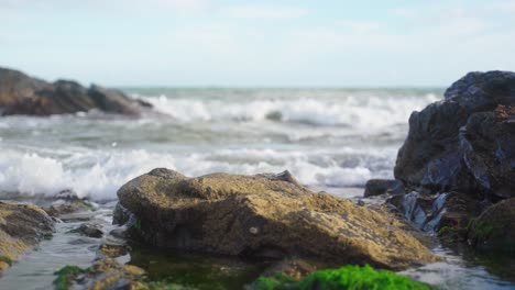 Schaukeln-Sie-Eine-Alge-Am-Strand,-Wobei-Sich-Der-Fokus-Vom-Vordergrund-In-Den-Hintergrund-Verlagert