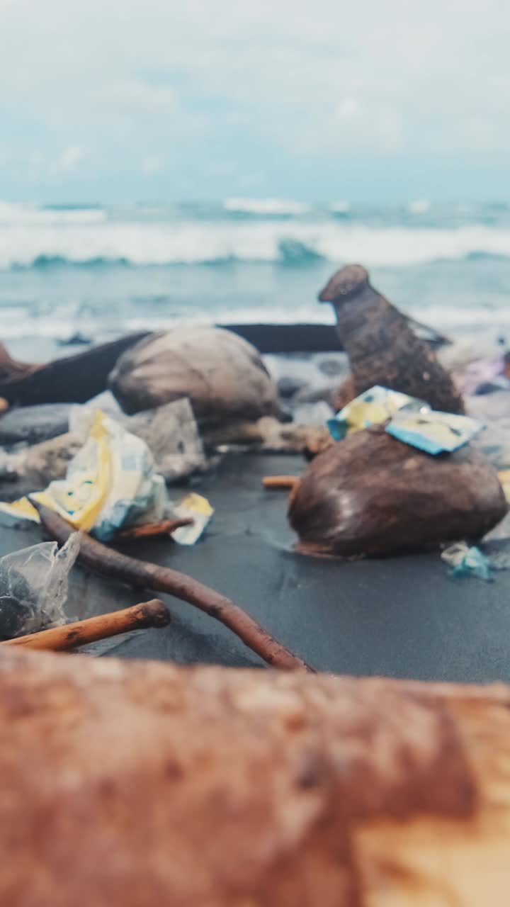 Volunteers clean up pollution along the beautiful beachfront in summer