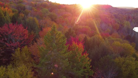 aerial drone shot of a beautiful morning sunrise as the sun rays illuminate the vibrant autumn colored leaves and treetops of a forest, montréal, canada