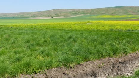 Rural-Business-Landscape.-Drainage-channel