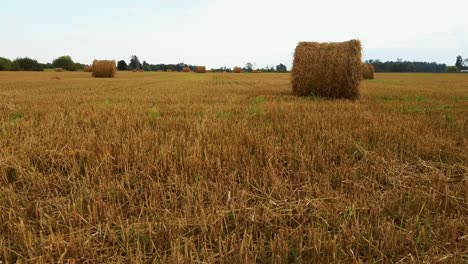 El-Campo-Con-Rollos-De-Heno