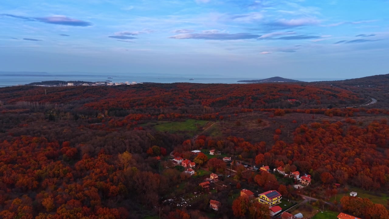 Aerial autumn forest with coastal village and sea visible in the background. Autumn red forest surrounds scattered houses as a coastal industrial area and open sea appear faintly in the background.