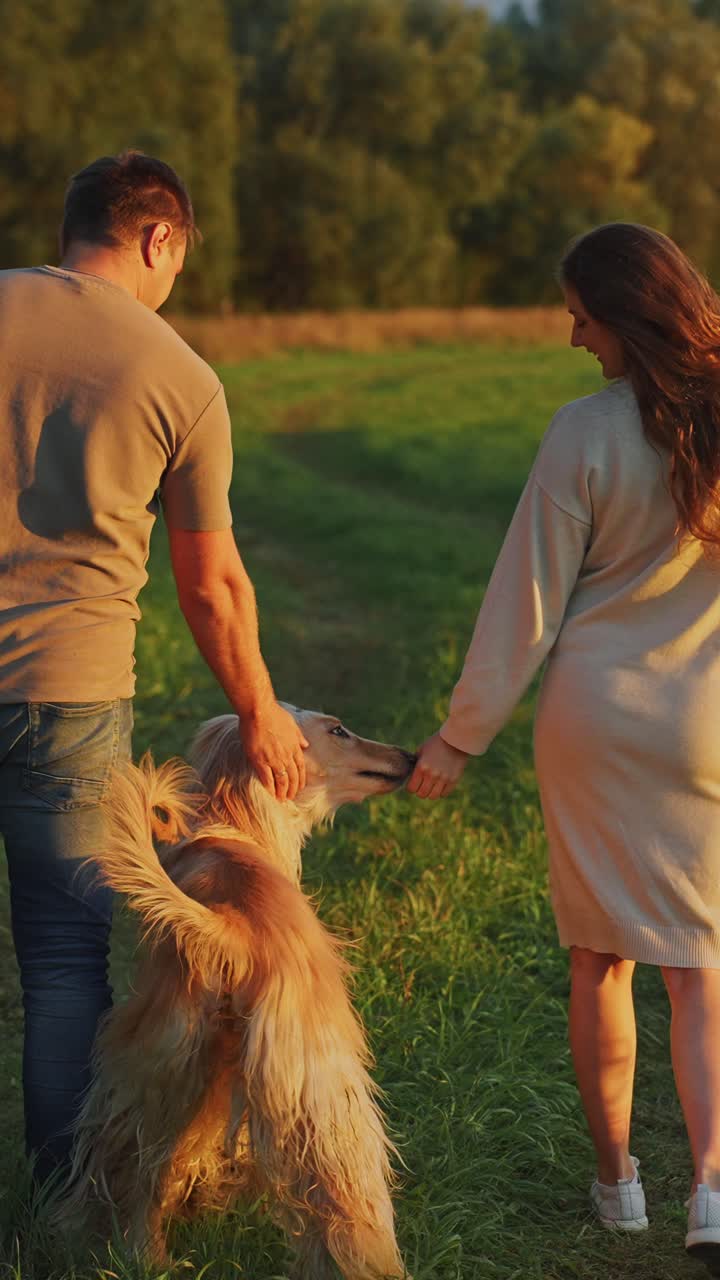Couple walking their dog in a field at sunset