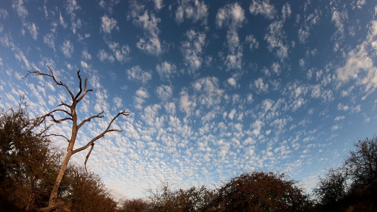 남부 아프리카의 부시벨드 사바나 위로 구름의 시간 경과