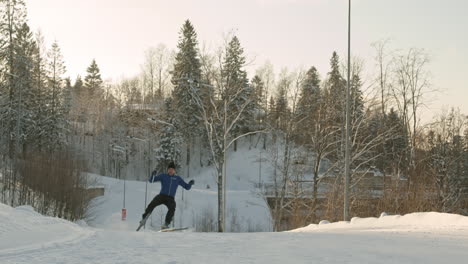 cross-country skiing in snowy landscape