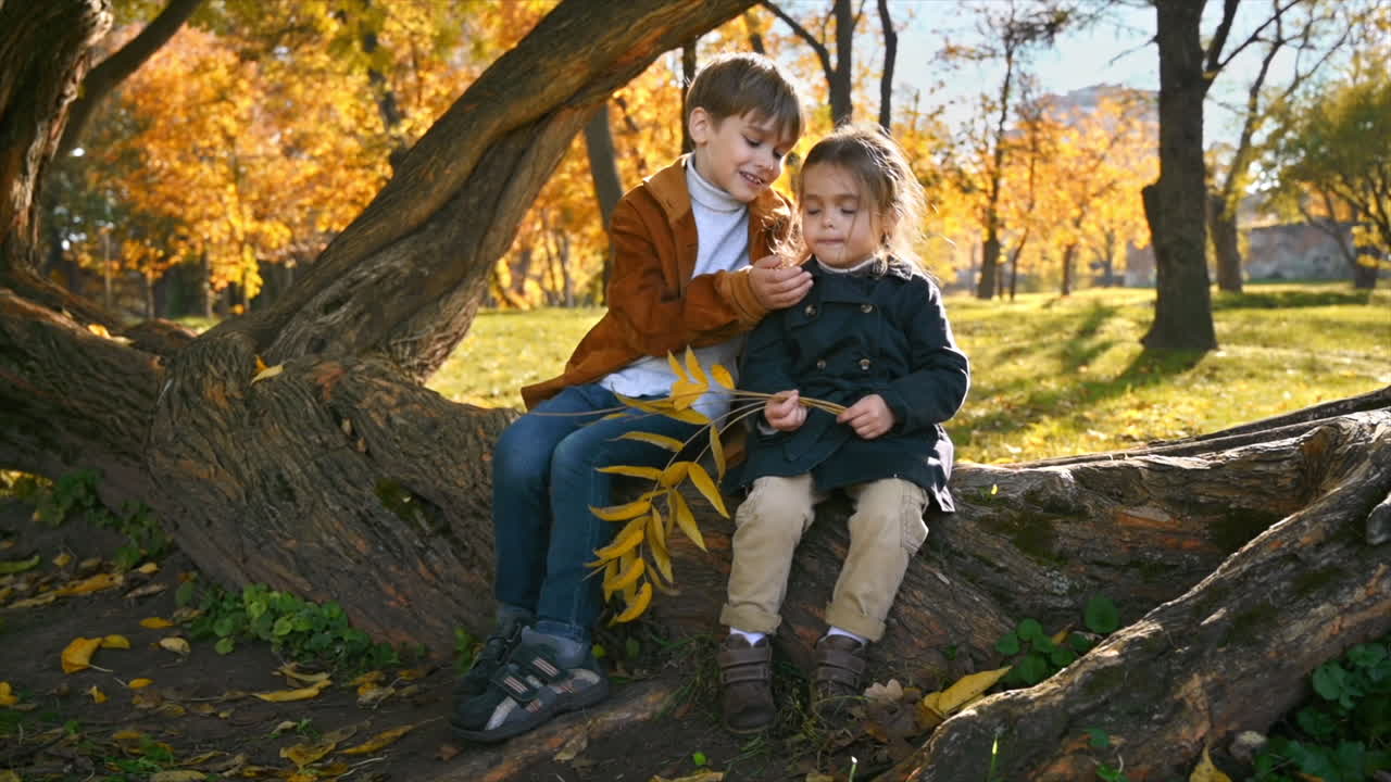 Happy family in an autumn park. Brother kisses his sister and hugs her sitting on a tree trunk, yellowed trees around. Slow motion